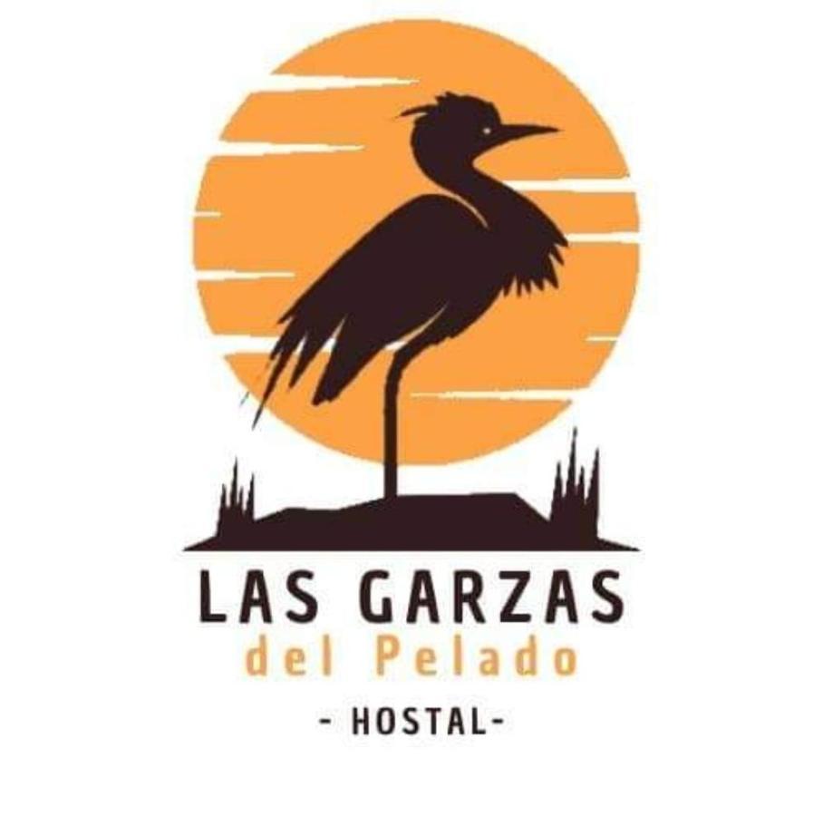 Hostal Las Garzas Del Pelado Playas Eksteriør bilde