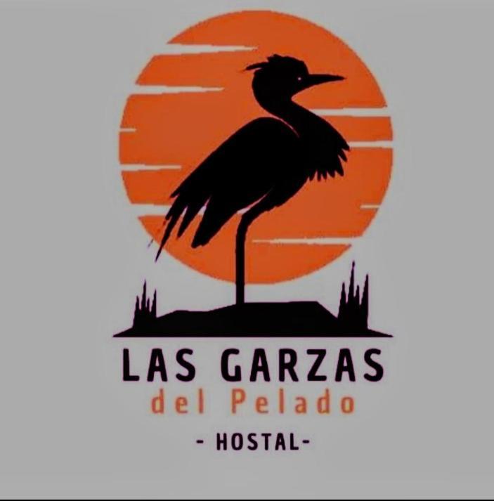 Hostal Las Garzas Del Pelado Playas Eksteriør bilde